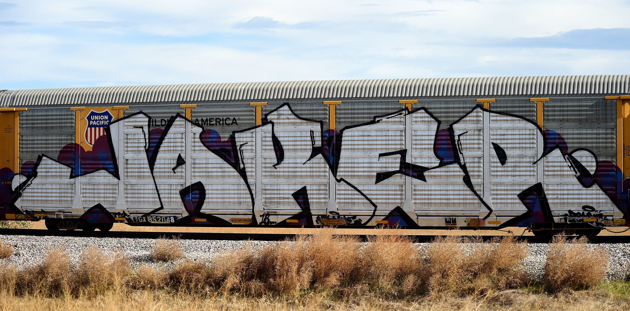 Graffiti rail cars